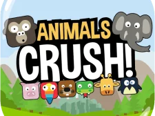 Animals Crush Match